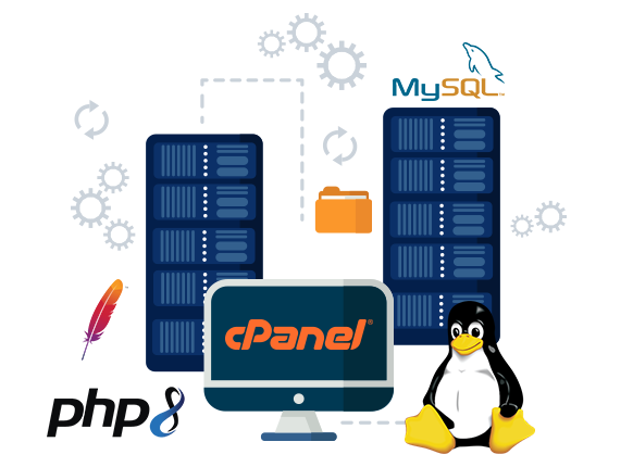 CPanel Hosting Görseli